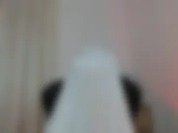 thin33 webcam preview