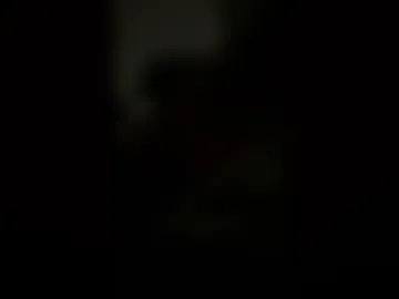 thr3310th live webcam preview