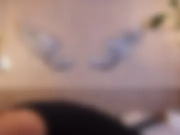 tian_brooks webcam preview