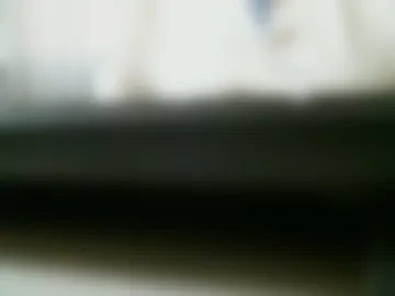 tigertemple2026 photo 3