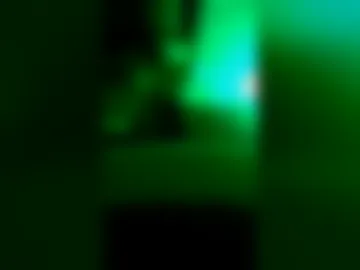timelordgardener live webcam preview