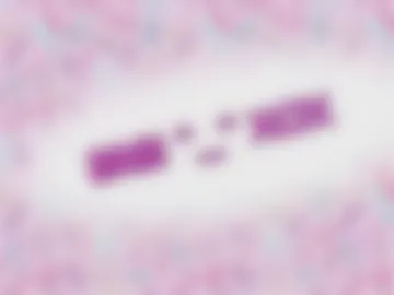 tinytinytania live webcam preview
