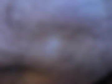 tinyvibezz live webcam preview