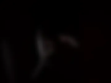 titlover498247 live webcam preview