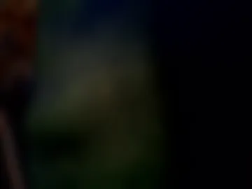 tjllagwbggrr photo 5
