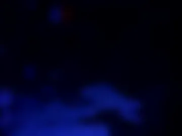 toddpascoe77 photo 4