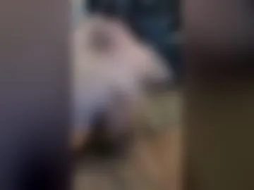 toelover15 live webcam preview