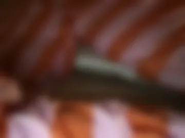 tofudude photo 2