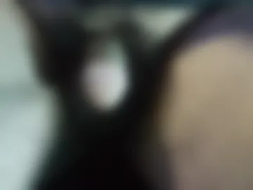 tom_green live webcam preview