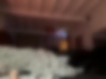 tommeke31 live webcam preview