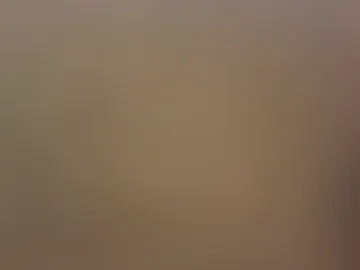 tommylove228 photo 4