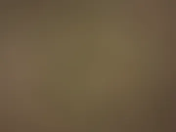 tommylove228 photo 2