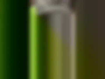 tomorom2002 live webcam preview