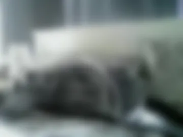 tonygibbson62 photo 8