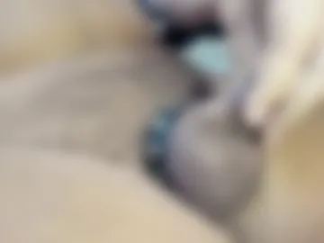 tonyisback2023 photo 6