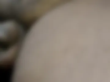 tonyisback2023 photo 3