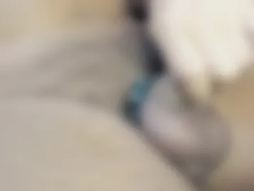 tonyisback2023 photo 2