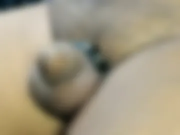 tonyisback2023 live webcam preview