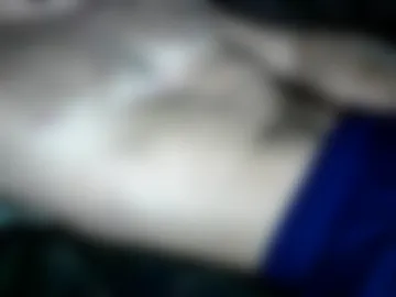toocloudy photo 4