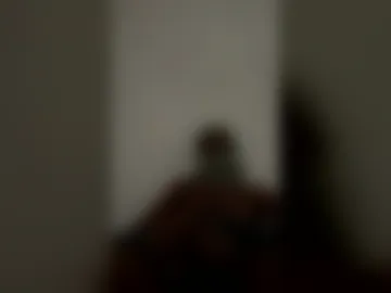 top293956 live webcam preview