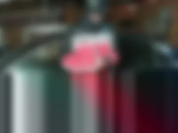 topdogintraining93 photo 7