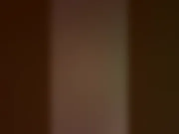 torexpan1 live webcam preview