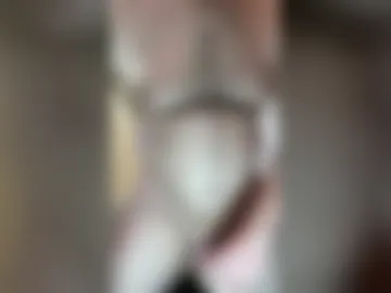 toy_gunn webcam preview