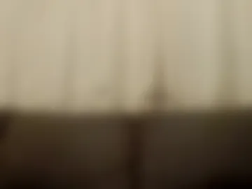 toy_master101 photo 9