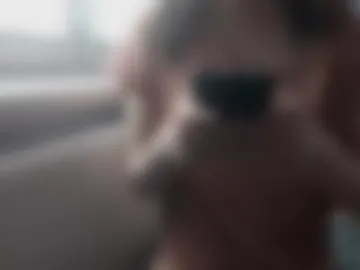 transcarolina live webcam preview