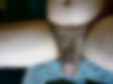 trevorboner live webcam preview