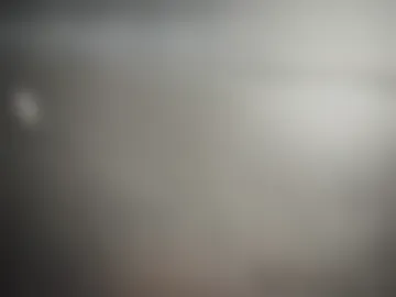 trigood webcam preview