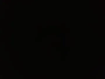 tripdream live webcam preview