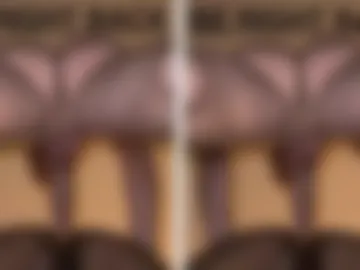trophytroy photo 4