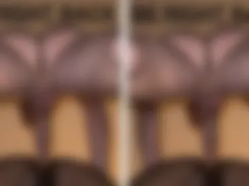 trophytroy live webcam preview