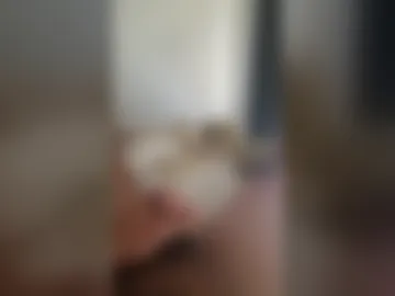 turtlemuir25 live webcam preview
