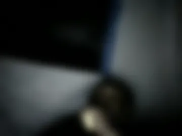 twinhustle live webcam preview