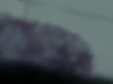 twinslovers_ photo 9