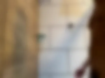 twoballsandadick photo 2