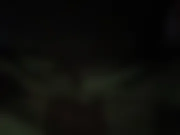 txsizedhog420 photo 6