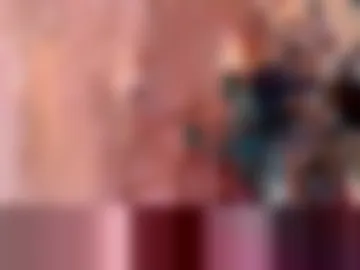 txstripper photo 4
