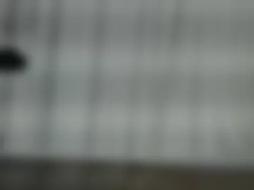 tygryseq live webcam preview