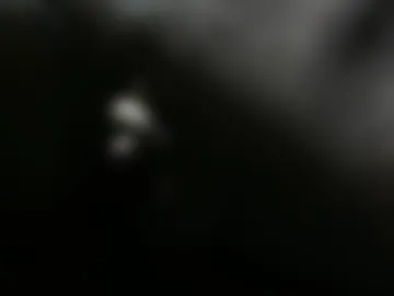 tyler101718452 live webcam preview