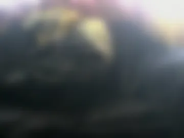 tyler101718452 live webcam preview