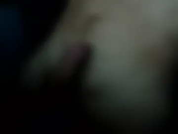 tyrannidae live webcam preview