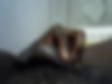 tyroneall live webcam preview