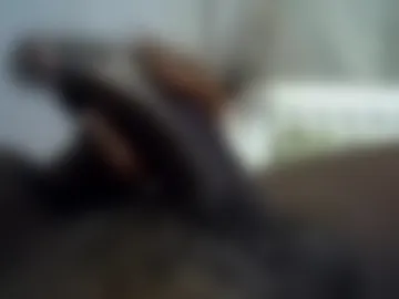 tyroneall webcam preview