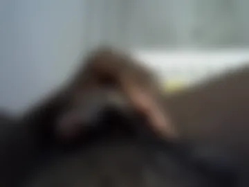 tyroneall live webcam preview