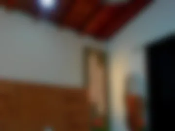 tyson_reed webcam preview