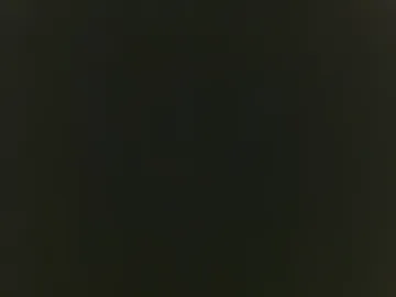 uncutbi2020 live webcam preview