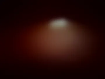 unexspct20qmthrbck photo 6